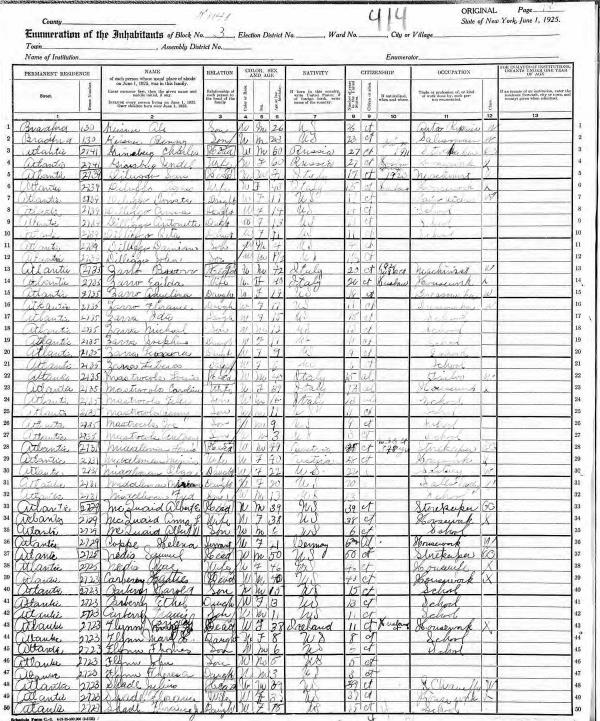 1925 new york census column 12